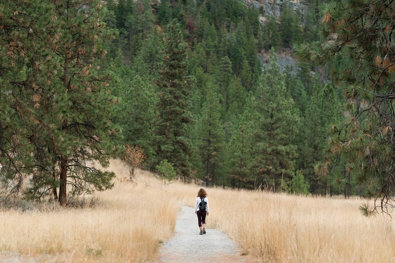 Hiking Backpack